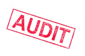 Nonprofit Audit