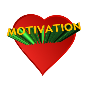 Nonprofit Motivation 