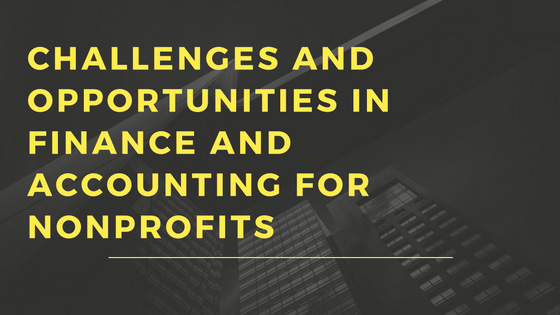Challenges and Opportunities in Nonprofit Accounting