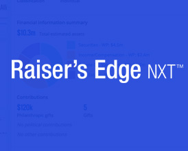 raisers edge consultants