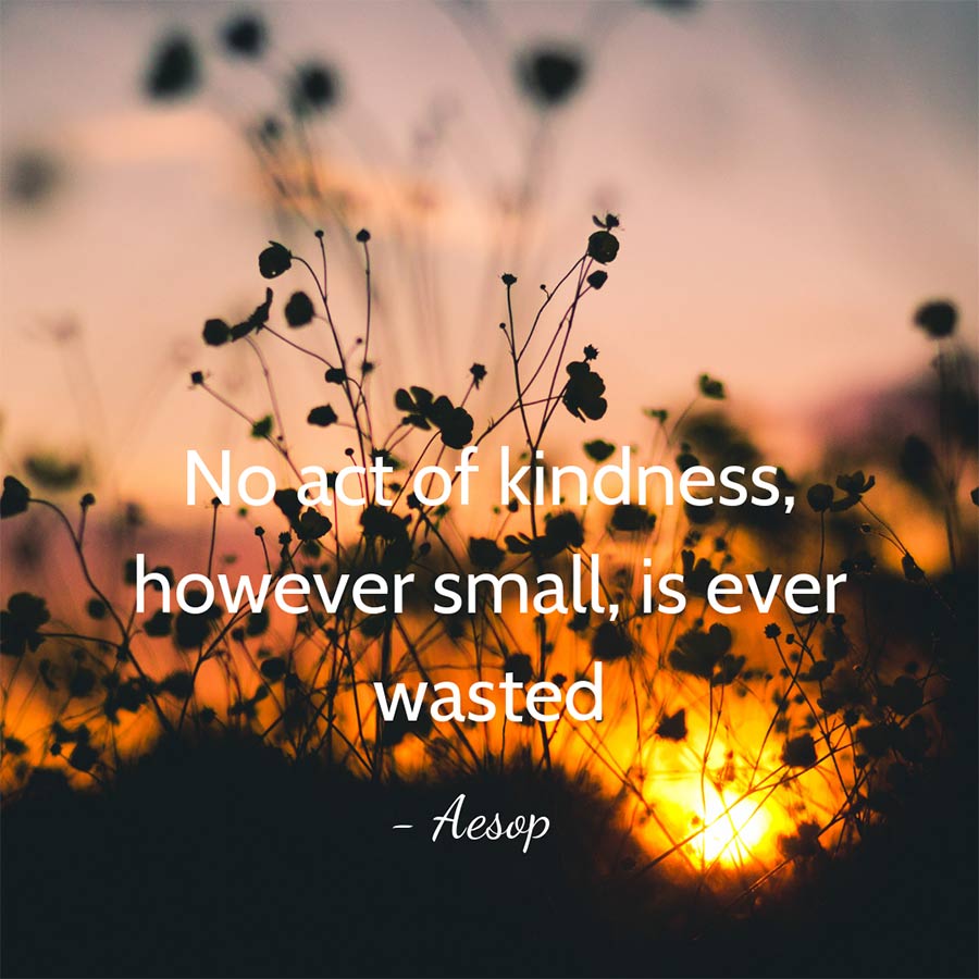 14 Inspiring Quotes About Giving Nonprofit Organization Marketing