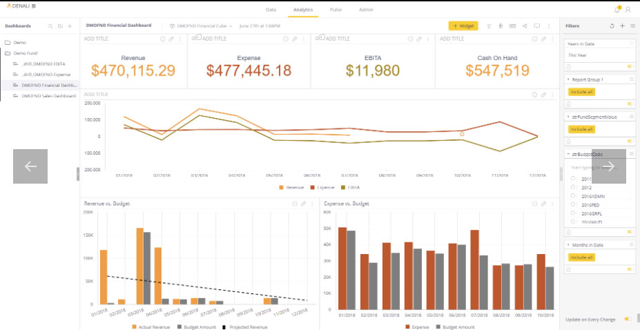 denali npo accounting software