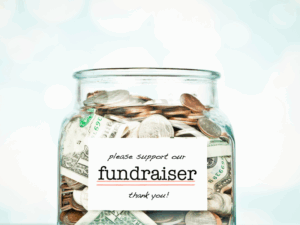 nonprofit fund accounting software