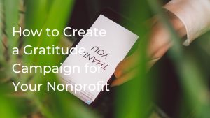 Nonprofit gratitude campaign