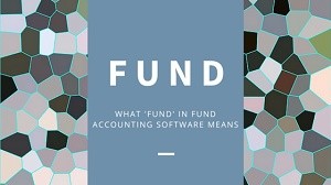 Fund in Fund Accounting Software Means
