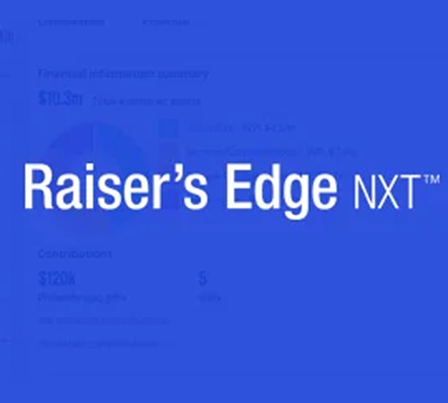 raisers edge nxt consultants