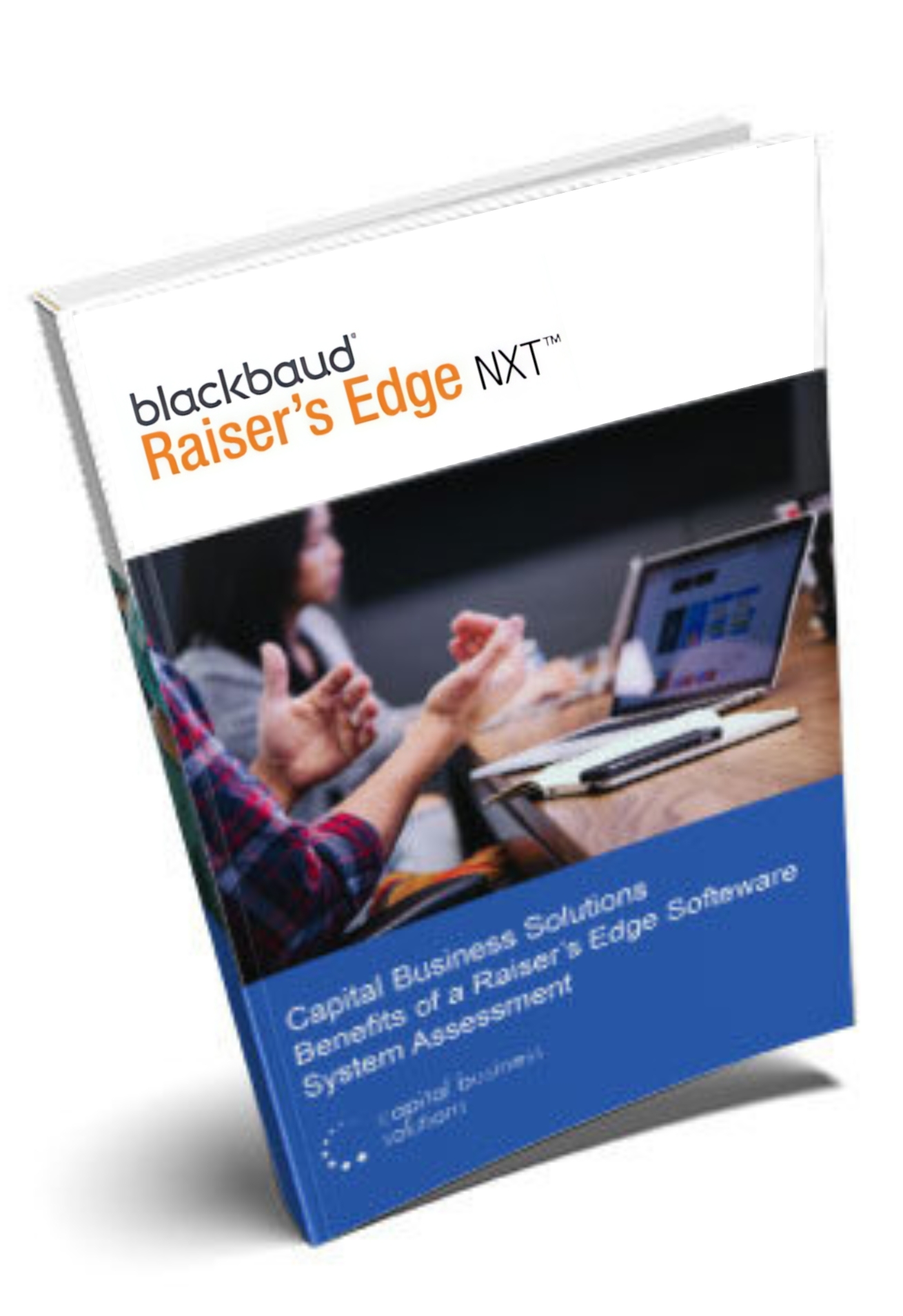 raisers edge assessment